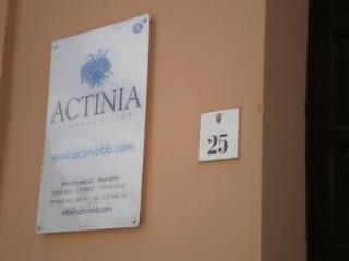 Actinia Affittacamere Alghero